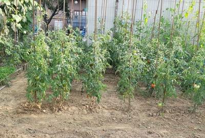 Casă cu 4 camere în Dragomirești-Vale