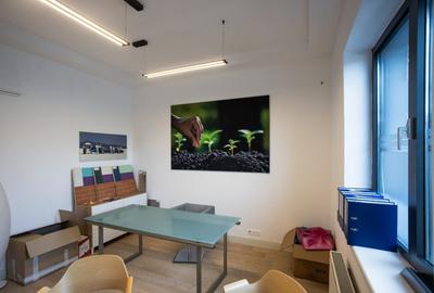 Casă individuală cu 5 camere cu Canalizare în Domenii - 5