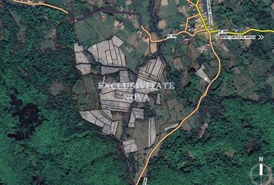 Oaza de natura si oportunitate in Baiculesti  Valea lui Enache, Arges - 5