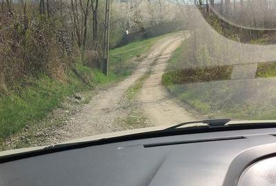 Spațiu comercial, în Central - 3