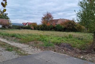 Teren intravilan de vanzare Teren intravilan de vanzare - 6