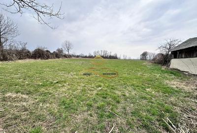 Teren Construcții intravilan de 11021 mp, în Blăgești - 5