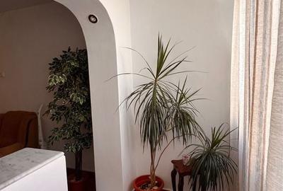 Doua camere decomandat Diham - pet friendly - 2