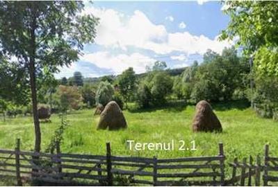 Teren de 24334 mp, în Secăria - 7