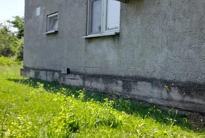 Casa + Teren de Vanzare Catun Tamplaru, Maldaeni, Teleorman - 3
