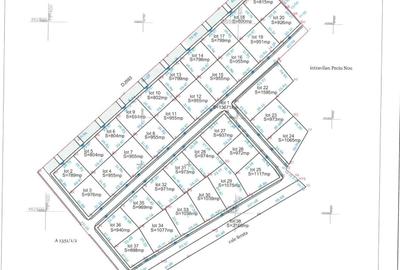 Parcele pentru constructie case - Peciu Nou- - 3