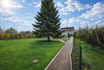 Casă cu 5 camere cu Teren 1500 Mp în Rahova - 13