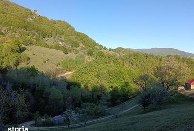 Teren de 635 mp, în Cornereva - 3