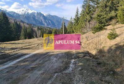 Teren de vânzare în Predeal - Zona Forban - 4