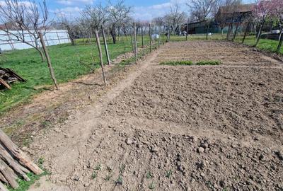 Casă cu 4 camere în Aldești - 8