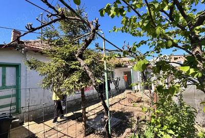 Casă cu 5 camere în Viile Noi - 4