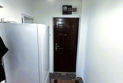 Apartament 2 camere de inchiriat, Alexandru - 6