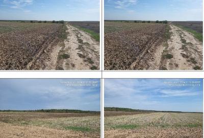 Teren extgravilan agricol Uliesti, ID: R2263433 - 5