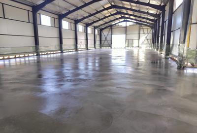 Hala industriala noua pentru depozitare/productie, zona de Est, 1200mp - 3