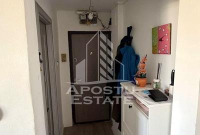 Apartament cu 3 camere semidecomandat, mobilat în Șagului - 7