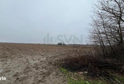 Teren de 4200 mp, în Mogoșani - 6