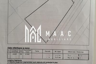 Teren 4500m2 I Intravilan I PUG I Strand - 1