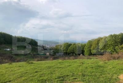 Teren extravilan de vanzare, 740 mp, zona Taberei - 3