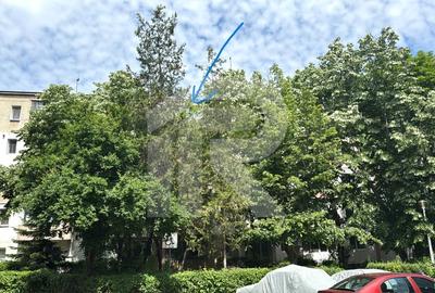 2 camere, langa spitalul judetean, etaj 4, mobilat si utilat - 6