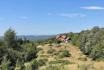Teren Extravilan in mijlocul naturii. - 7