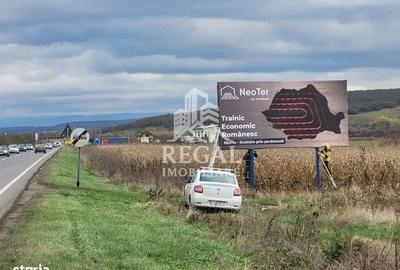 Teren de 3800 mp, în Sântandrei - 5