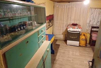 Casă individuală cu 3 camere cu Teren 2850 Mp în Alunișu - 13