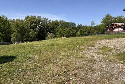 Spațiu comercial, de 300 mp, în Pătrăuți - 15