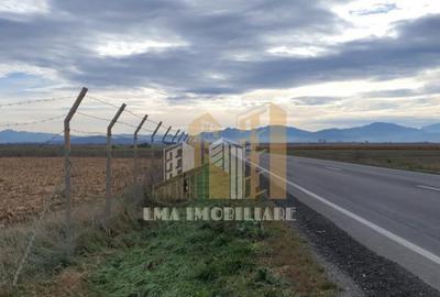 Teren intravilan industrial DN 13 Calea Feldioarei Brasov - 9