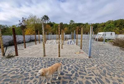 Teren Intravilan (498 mp),situat in Botorogi - Danesti - 3