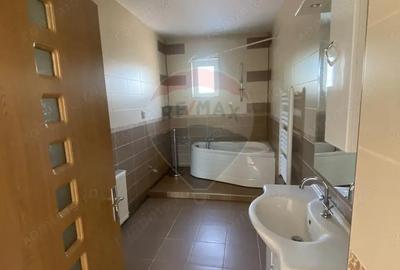 Casă cu 2 camere cu Teren 250 Mp în Vitrometan - 9