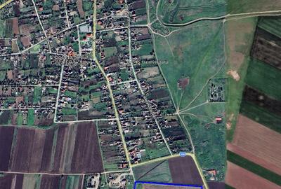 Teren Construcții intravilan de 100000 mp, în Ciocârlia