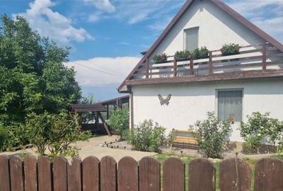Casă cu 2 camere cu Teren 607 Mp în Sărata (Sărata) - 10