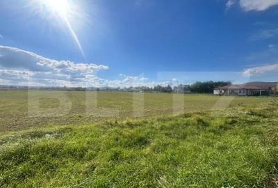 Teren de 25800 mp, în Central