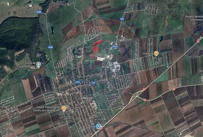 Teren agricol extravilan de 15482 mp, în Hărman - 3