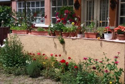Casă cu 3 camere în Chegea - 5