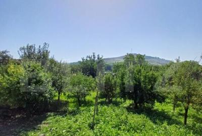 Casa 4 camere in Viisoara, langa Campia Turzii - 18