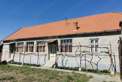 Casa de vanzare in Nadab - 7