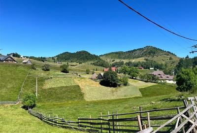 TEREN INTRAVILAN, 1380MP, FUNDATA - 3