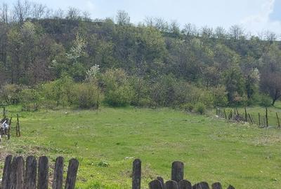 Teren intravilan 3109mp - 6