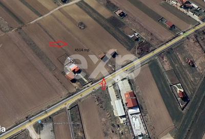 Spațiu comercial, în Petricica - 2