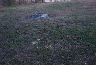 Spațiu comercial, în Malu Mare - 4