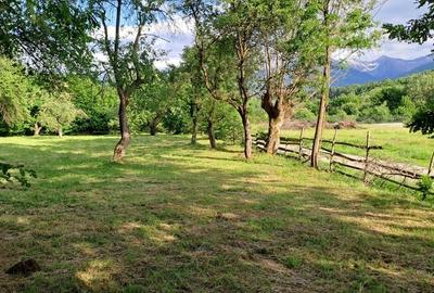 Teren de 3700 mp, în Porumbacu de Sus - 5