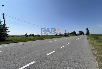 Teren Construcții intravilan de 9969 mp, în Hârlești - 3