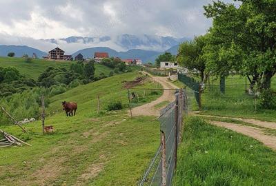 Teren extravilan sat pestera jud brasov - 2