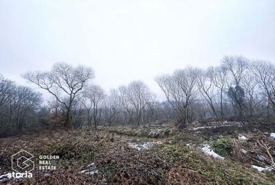 Spațiu comercial, în Central - 3