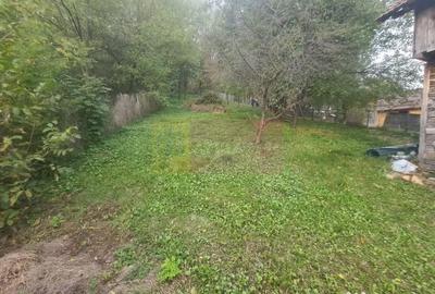 Casă cu 3 camere cu Teren 3410 Mp în Aluniș - 14
