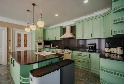 Casă cu 8 camere cu Teren 11880 Mp în Horodnic - 6