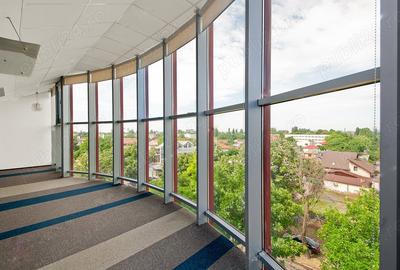 Spațiu comercial, de 350 mp, în Central - 6