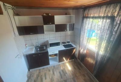 Dubova, Valea Ponicovei - 2 Cabane complet utilate. - 15