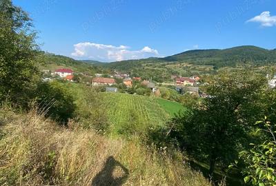 Vand casa comuna Chiuiesti Vand casa comuna Chiuiesti - 5